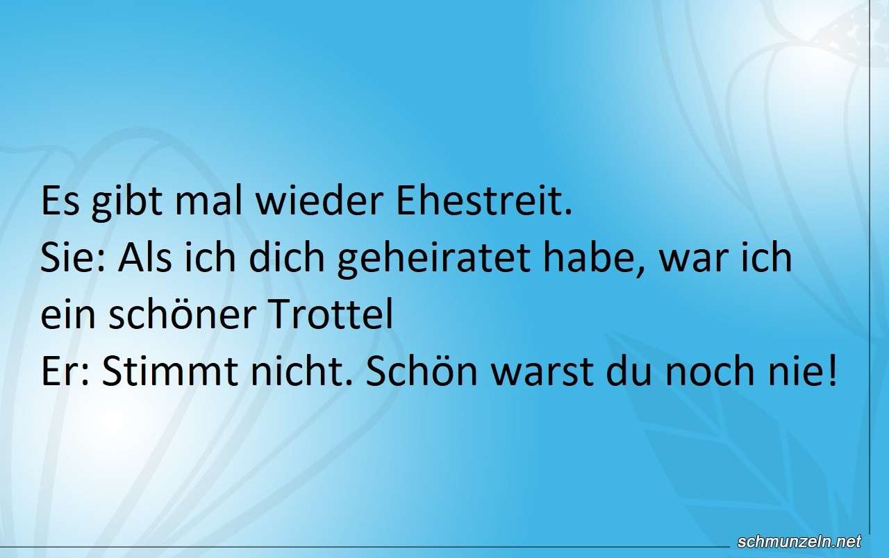 Du bist ein schöner Trottel ehe streit