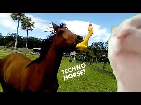 techno pferd