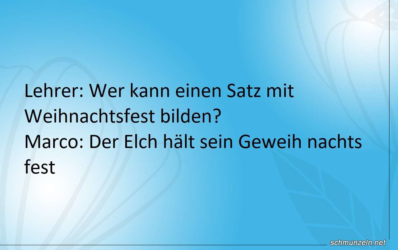 Wer kann einen Satz mit Weihnachtsfest bilden? weihnachtsfest satz