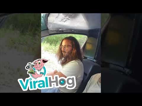 All About that Bass bass auto