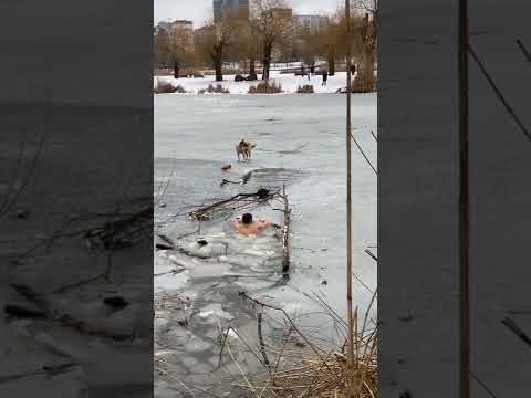 Mann rettet seinen Hund von einer Eisfläche hundrettung eisflaeche