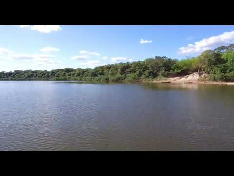 Alligator frisst fliegende Drohne alligator drohne