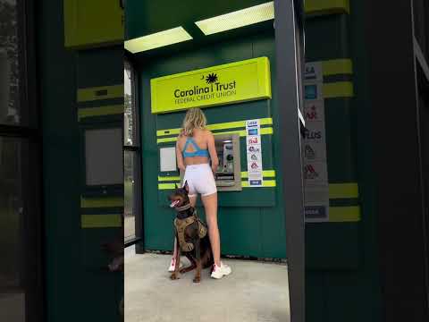 Hund bewacht Frau beim Geldabheben