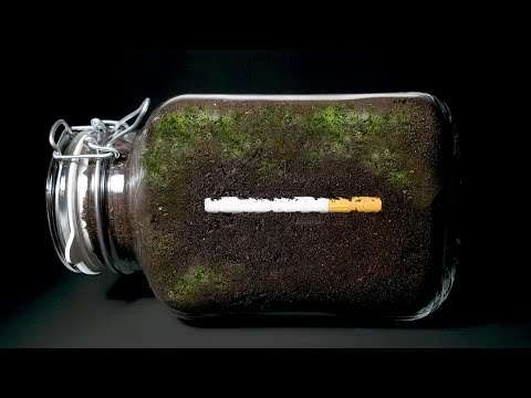 Zigarette ein Jahr in Erde vergraben im Zeitraffer zigarette vergraben