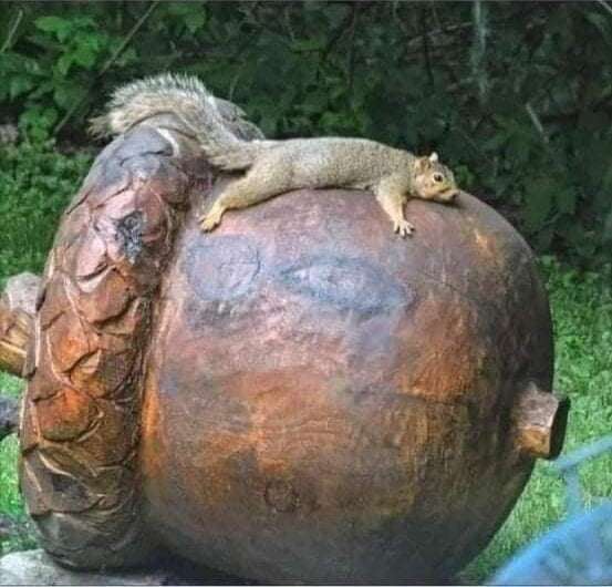 Picdump 105 15