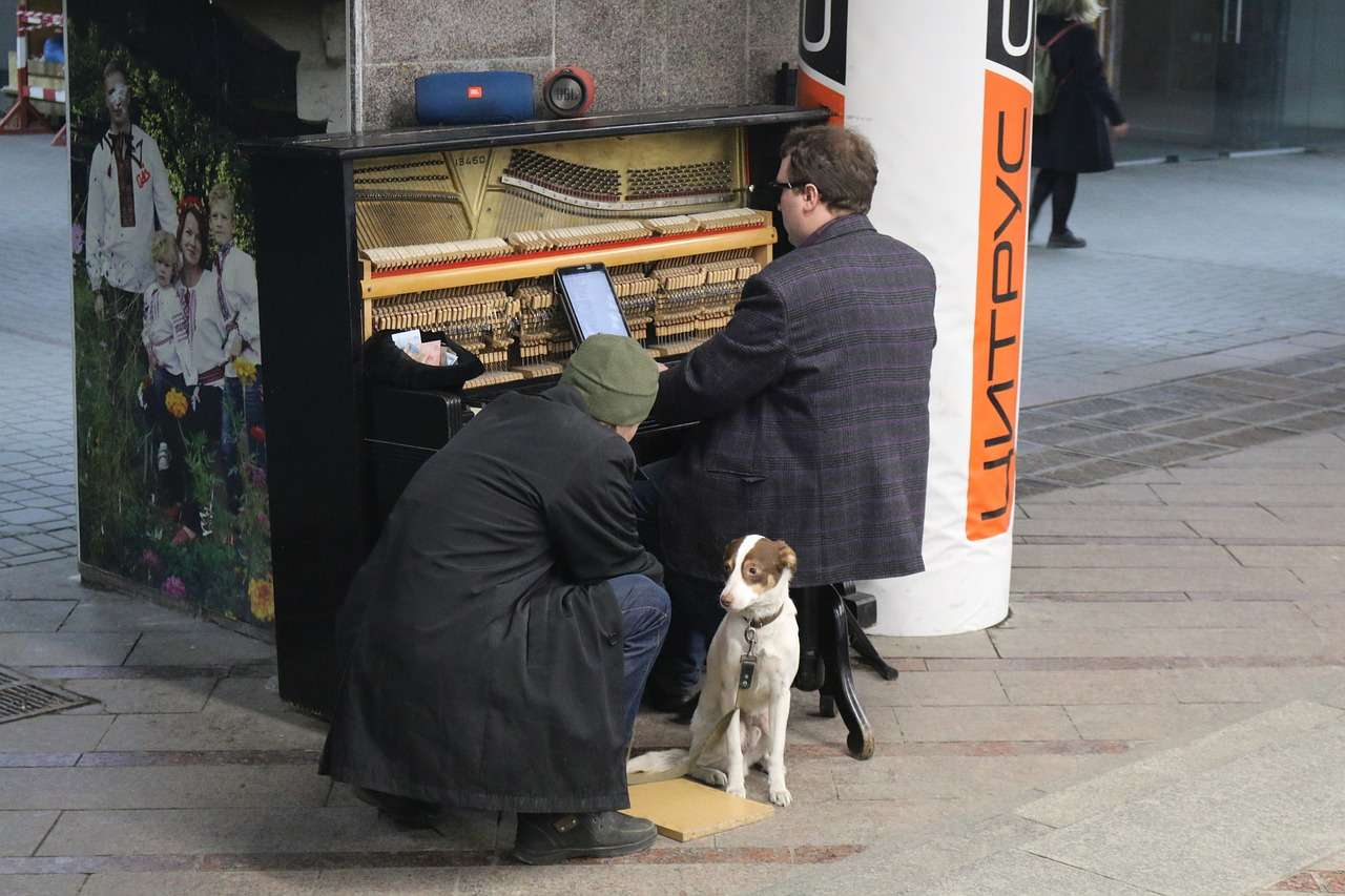 hund klavier