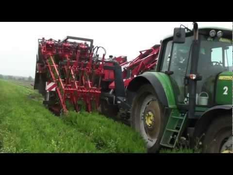 karotten erntemaschine
