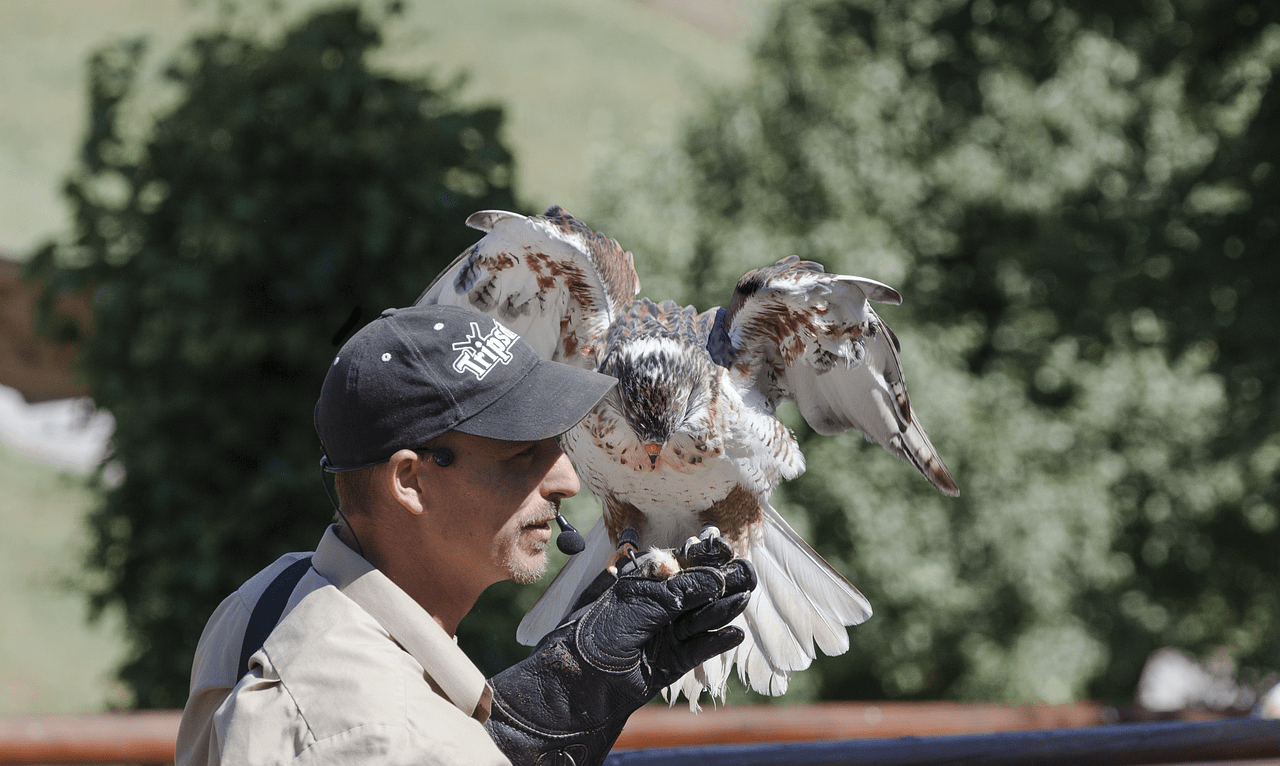 Spaß mit den Tieren haben auf der Arbeit tier pfleger
