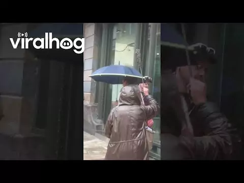 Ich glaube, sie hat etwas vergessen, den Regenschirm regenschirm vergessen