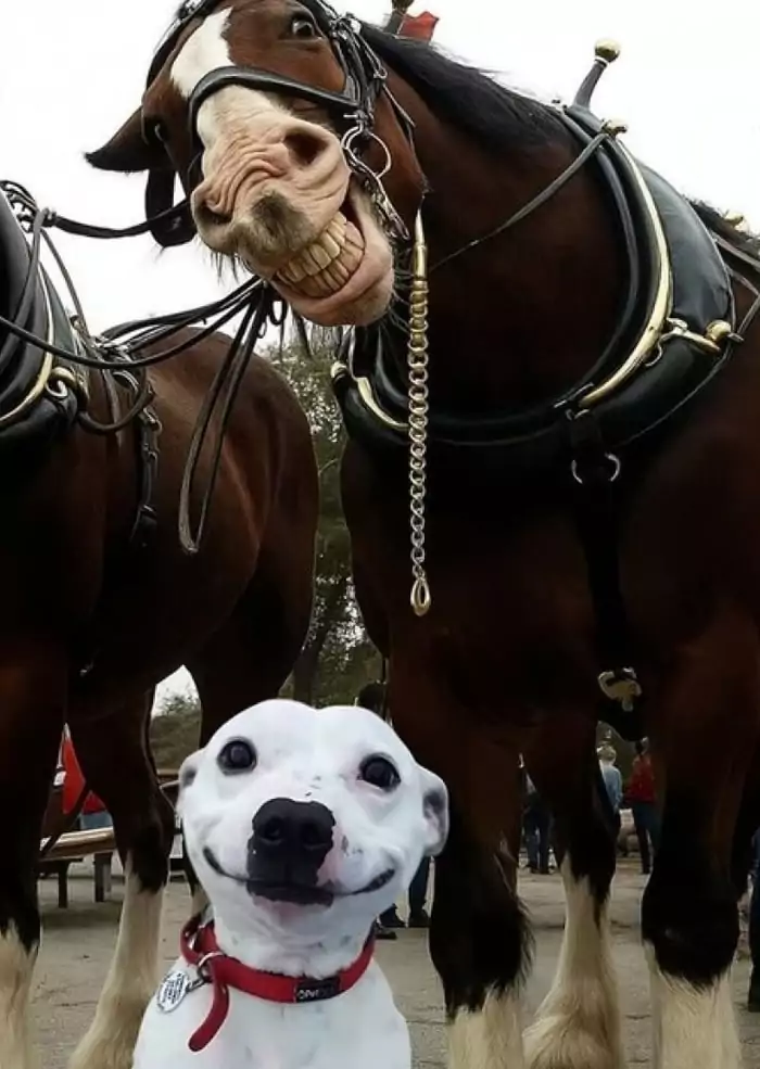 Picdump 137 1