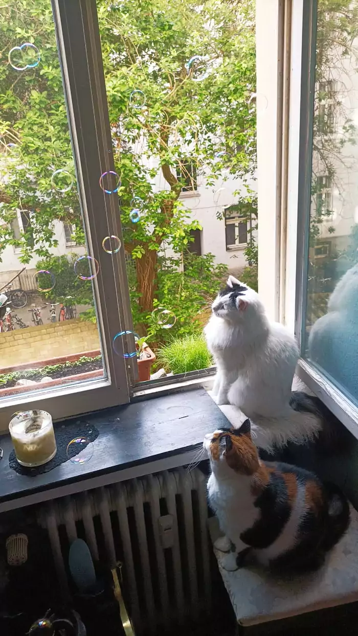 Picdump 137 11