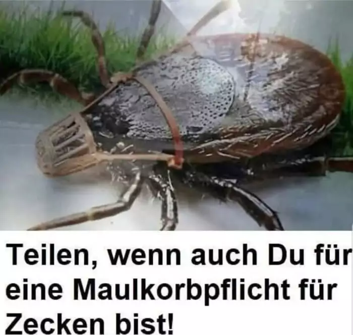 Picdump 137 18