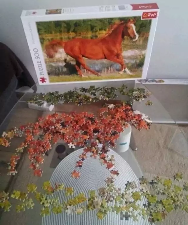 Picdump 138 17