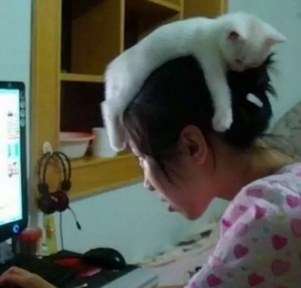 Picdump 138 3