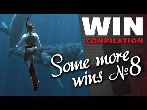 Just some Wins No. 8 - WIN Compilation win compilation8