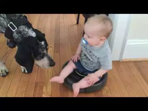 baby staubsaugerroboter