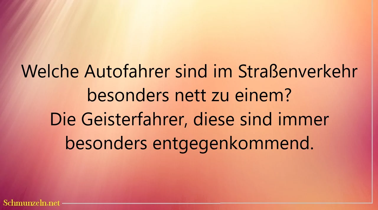 nette autofahrer2