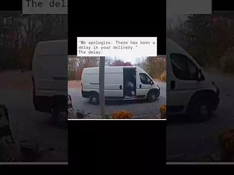 Ihre Postsendung verzögert sich leider post katze