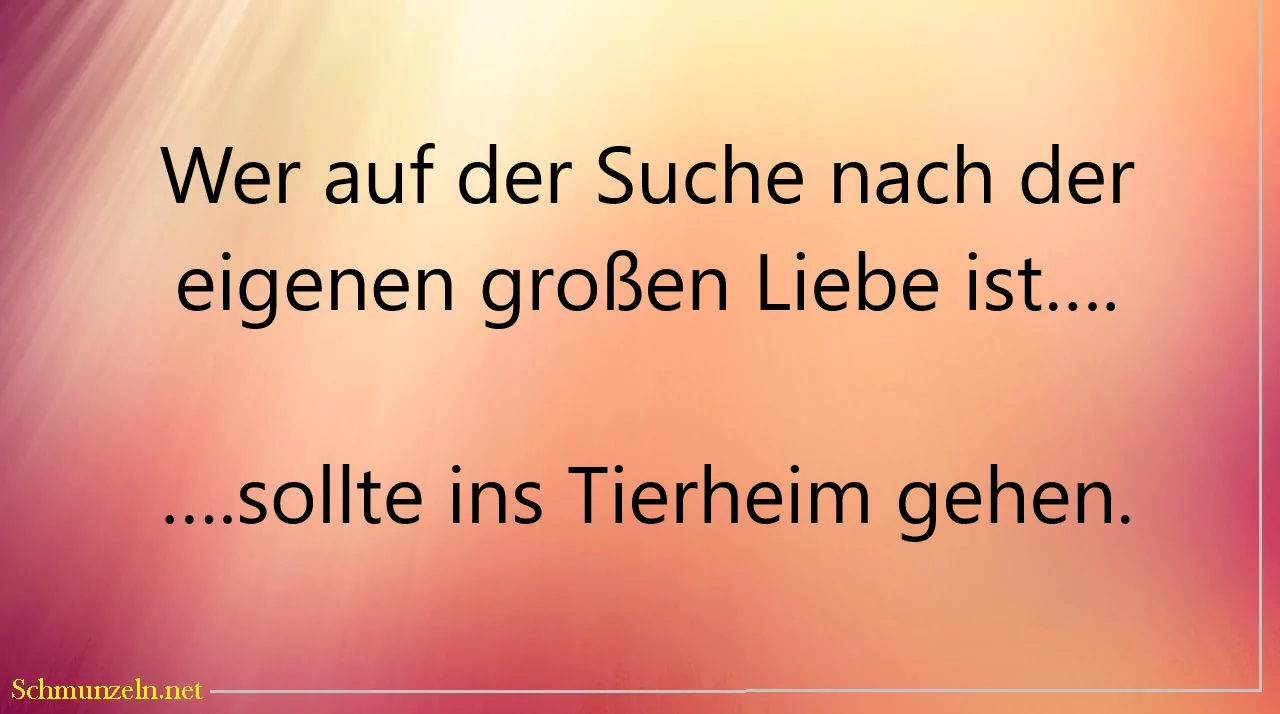 liebe suchen