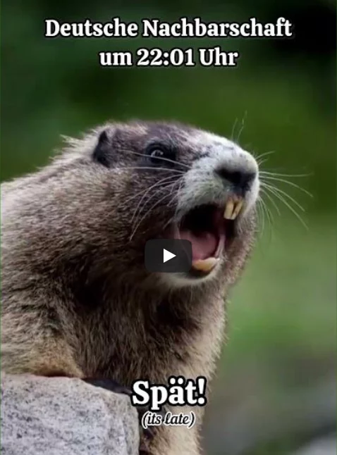 Deutsche Nachbarschaft um 22:01 Uhr nachbarn-nachtruhe