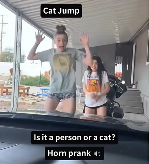 horn-prank