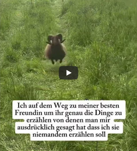 Auf dem Weg zur Freundin freundin-schnell