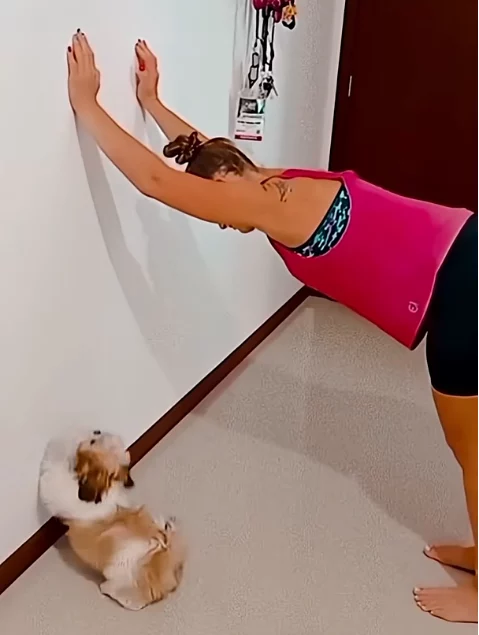 Tiere, die Dinge tun, die man so nie erwartet hätte tier-sachen