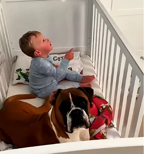 Kinder und Hunde eine großartige Kombination hund-kind