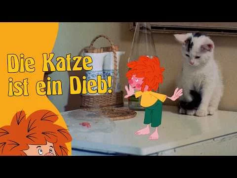 katze-dieb