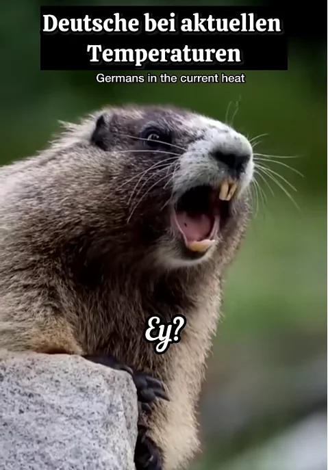 zu-warm