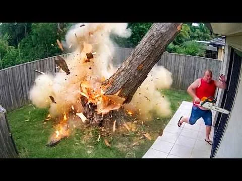 baumfaeller-fails