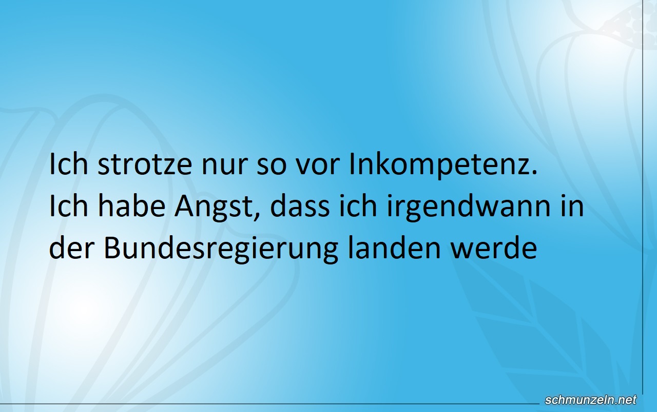Inkompetenz Regierung