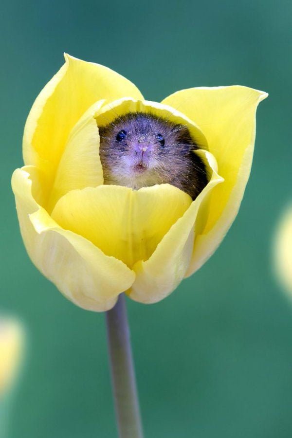 Picdump 025 18