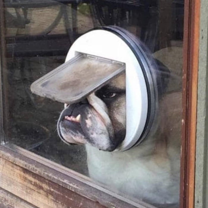 Picdump 030 12