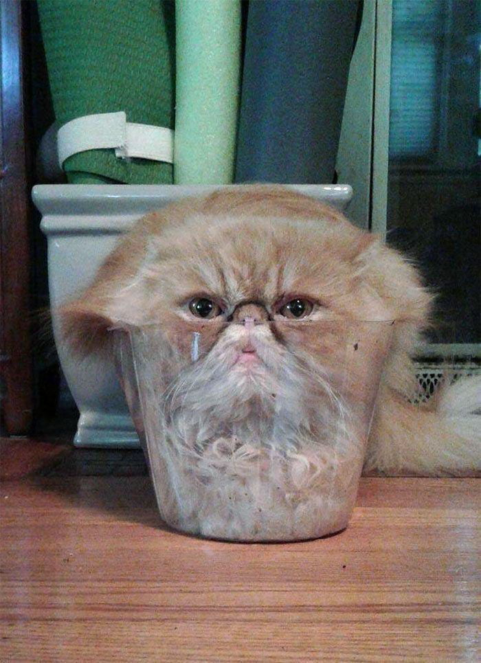Picdump 030 18